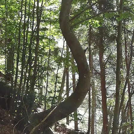 Alpstuga Il Fungo *